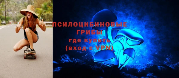 ALPHA-PVP Алексеевка