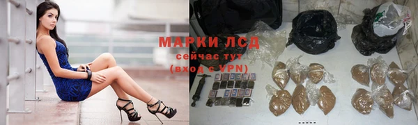 индика Алексин