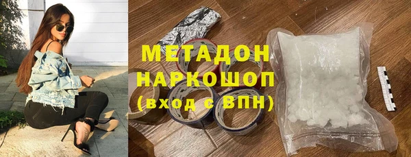 индика Алексин