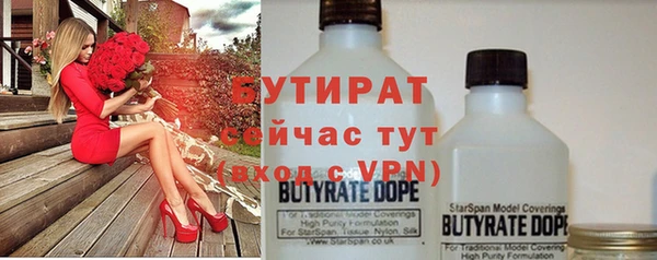 индика Алексин