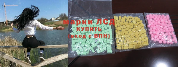 индика Алексин