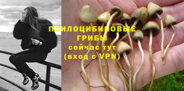 крисы Покров