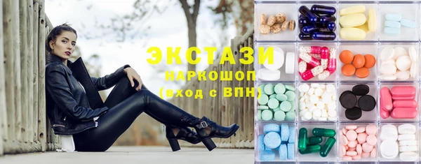 индика Алексин