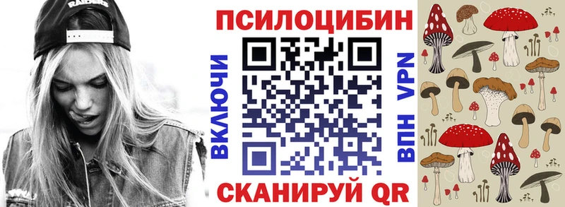 Псилоцибиновые грибы Psilocybe  hydra как зайти  Кувшиново  купить закладку 